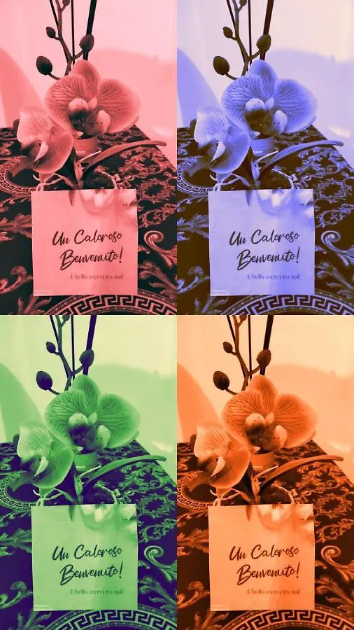 B&B Il Castello Bari Bed & Breakfast